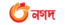nagad_logo